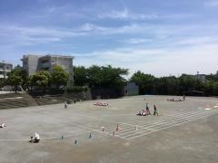 白幡台小学校