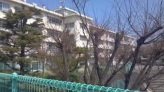 白幡台小学校