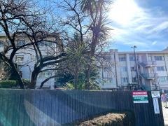 中新田小学校