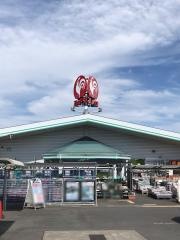 コメリハード＆グリーン　本巣店