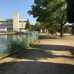 蓮池公園