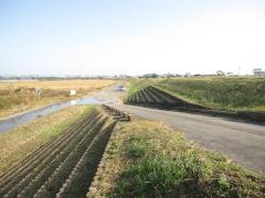 那賀川河川敷緑地