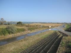 那賀川河川敷緑地