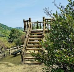 開山公園