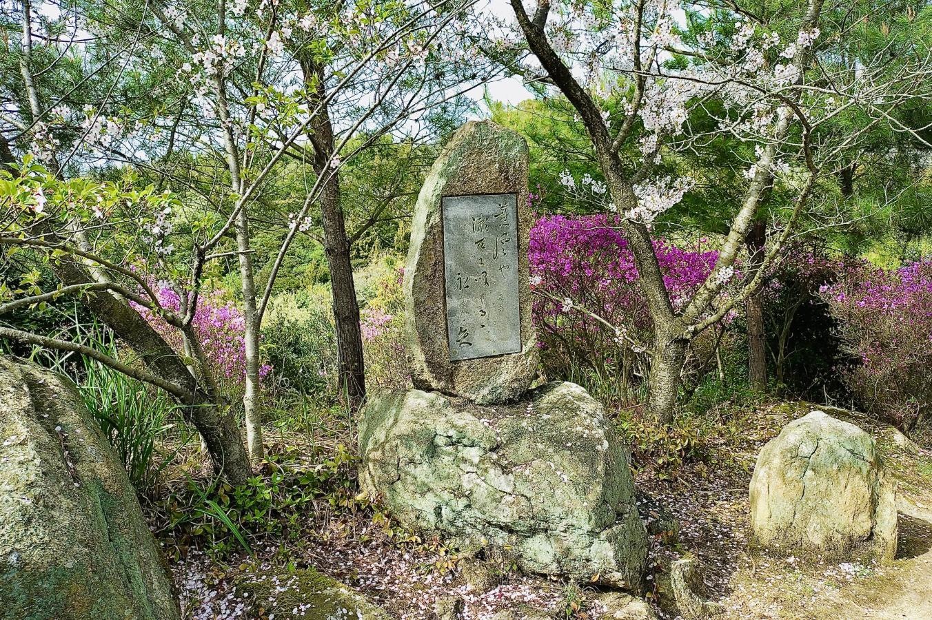 開山公園の写真です。
