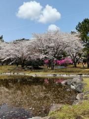 別府公園