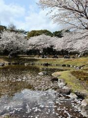 別府公園