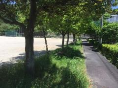 太宰府少年スポーツ公園