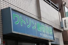 ワトソン動物病院