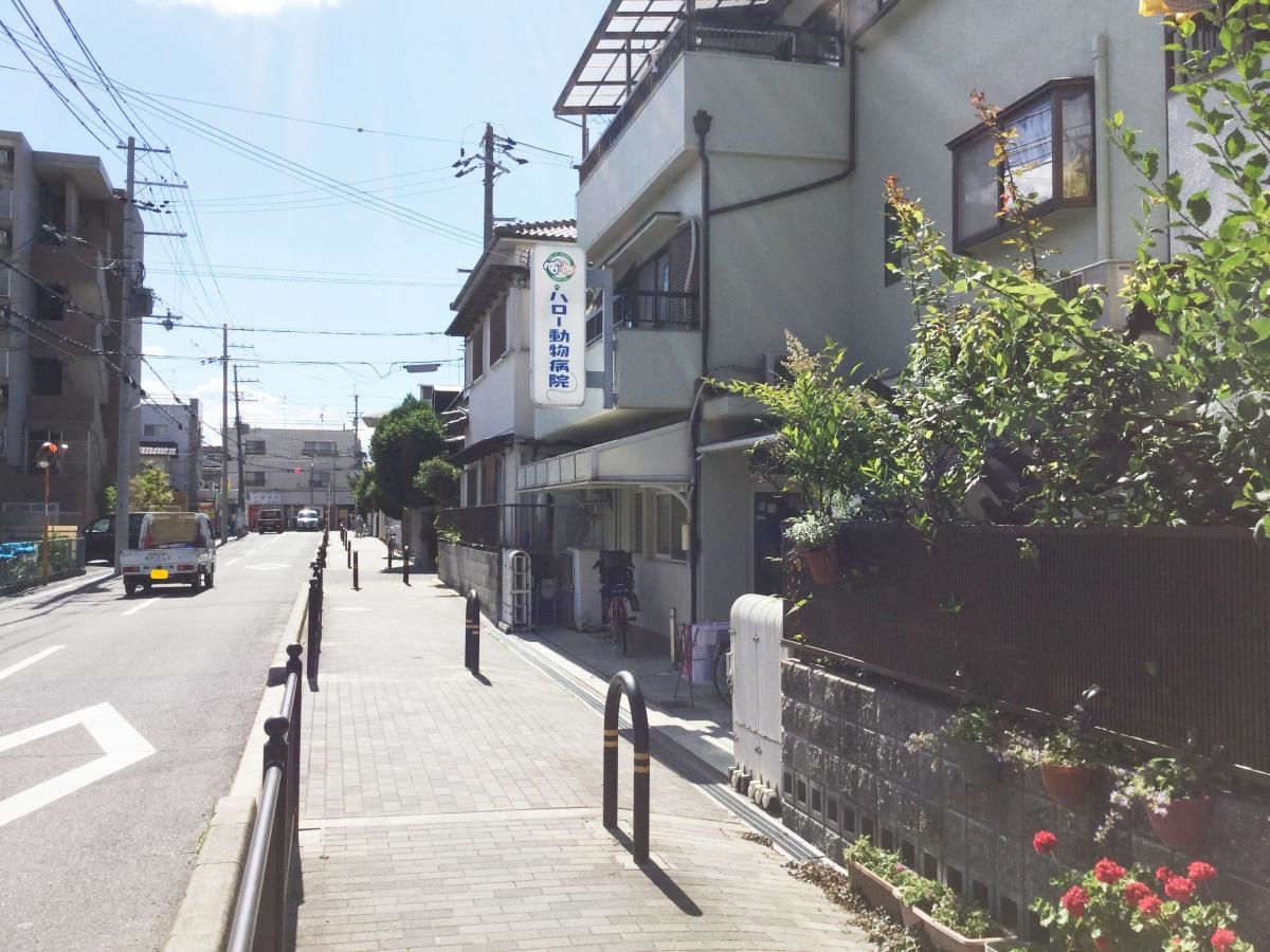 ハロー動物病院
