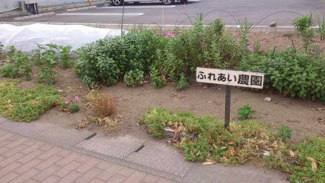 すもも