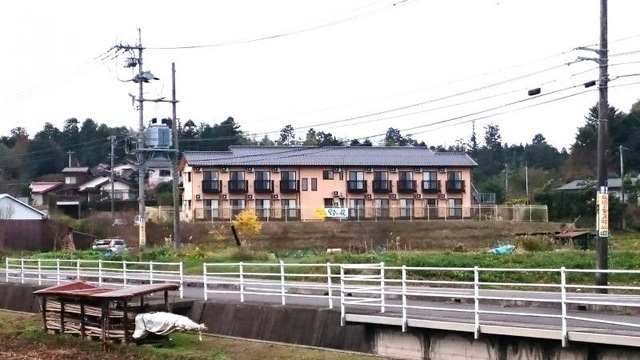 野の花