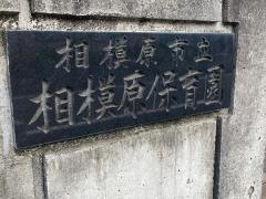 相模原保育園