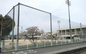 大野小学校