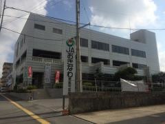 ＪＡおきなわ東風平支店