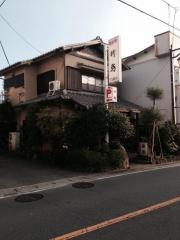 柳鮨