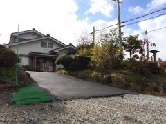 山法師
