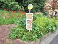 「油平東」バス停留所