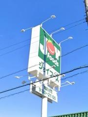 ジョイフーズ春日部中央店