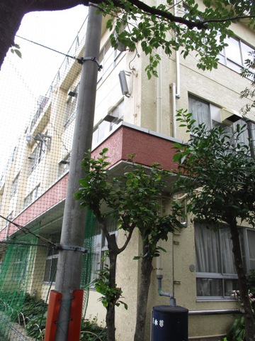 投稿写真1