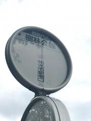 「樹林公園」バス停留所