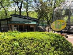 足羽山公園遊園地