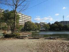神丘公園