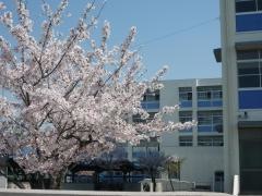 兵庫県立加古川北高等学校