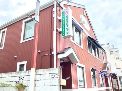 ゆう 動物 クリニック