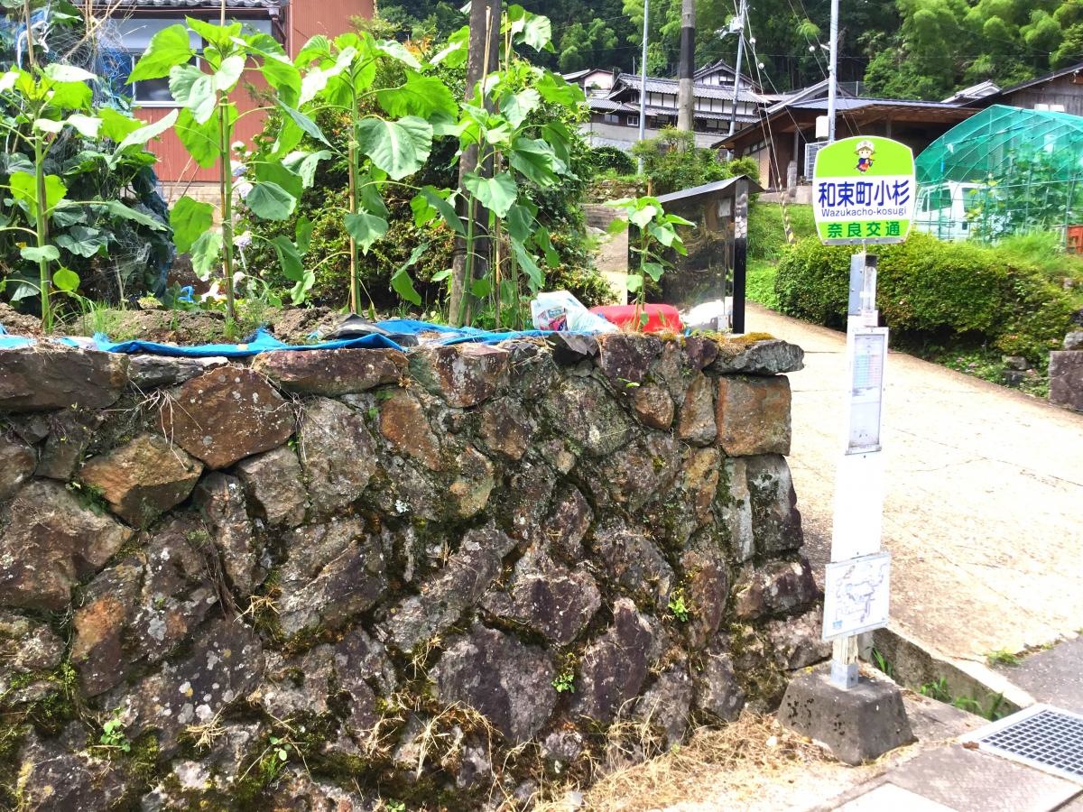 バス停