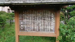 若松緑地