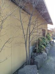 鶴の湯松島館