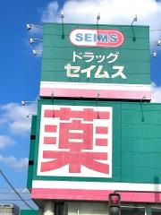 ドラッグセイムス　太田新井町店