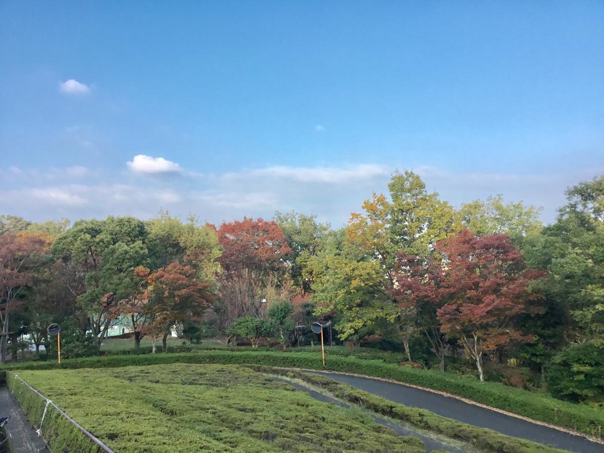公園内