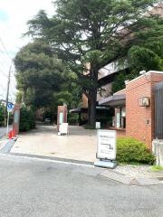 目白大学短期大学部