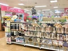 ザ・ダイソー　フードワン厚木長谷店