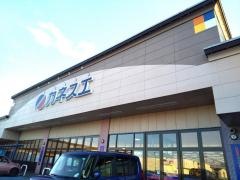 カネスエ瀬部店