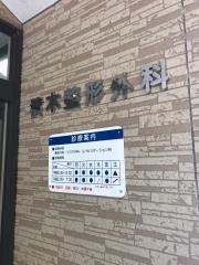 積木整形外科