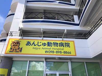 ドッグメディカル あんじゅ動物病院 宜野湾市真志喜