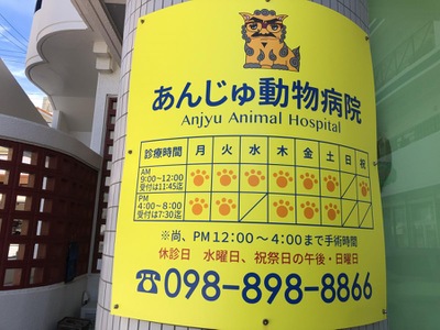 ドッグメディカル あんじゅ動物病院 宜野湾市真志喜