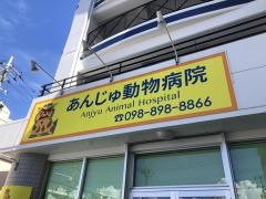 あんじゅ動物病院
