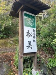 松美
