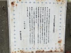 仲知教会