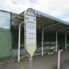 「秋草学園高校」バス停留所
