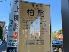 「柏尾」バス停留所