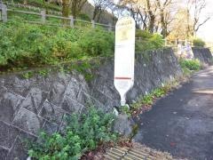 「津久井湖観光センター前」バス停留所
