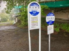 「西白樺湖」バス停留所