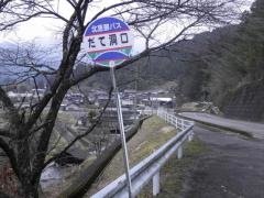 「だて洞口」バス停留所