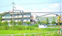 ひまわりの街