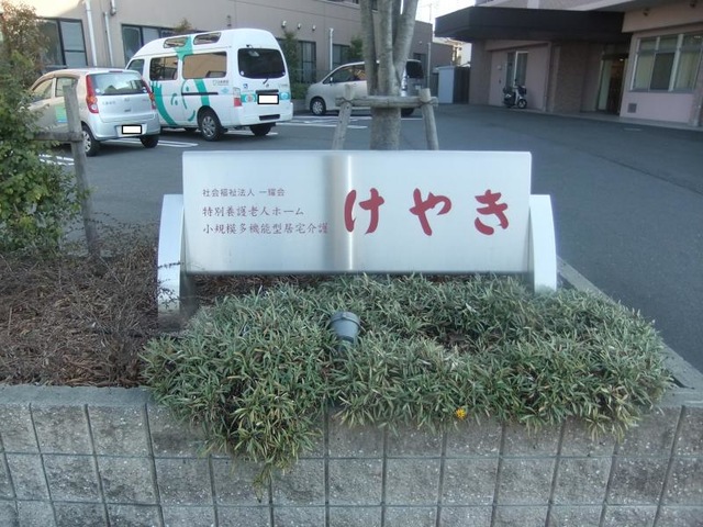 けやき